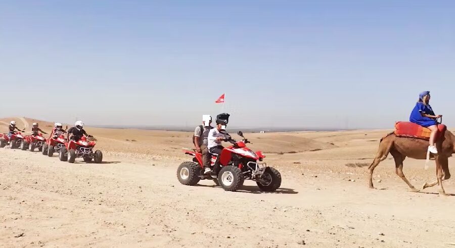 Camel ride or Quad biking in the Agafay desert with dinner in Berber camp