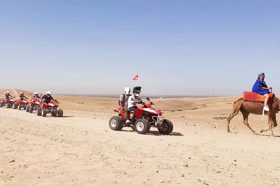 Camel ride or Quad biking in the Agafay desert with dinner in Berber camp