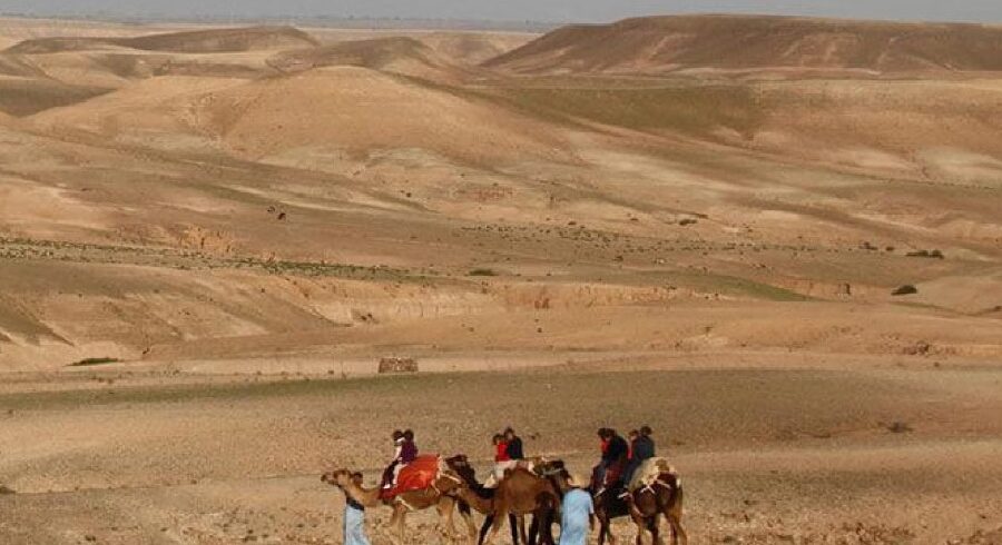 Camel ride to discover the Agafay desert