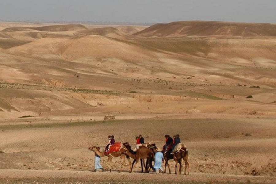 Camel ride to discover the Agafay desert